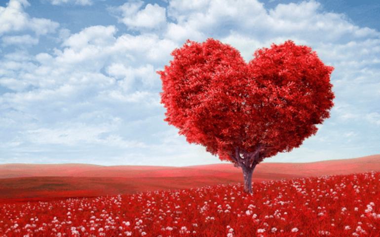 Tipos de amor de parejas